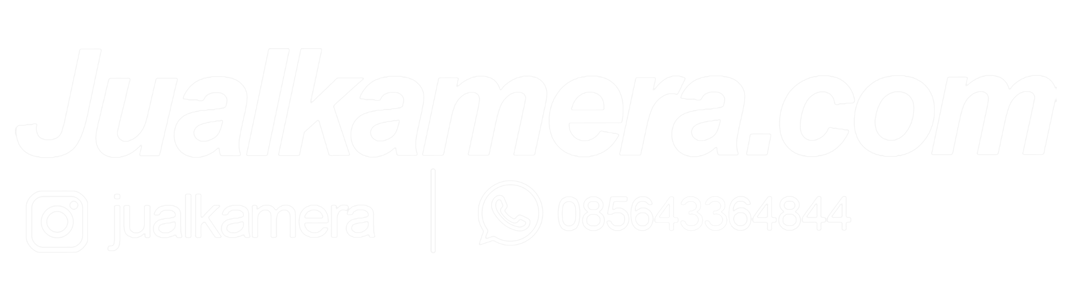 Logo website